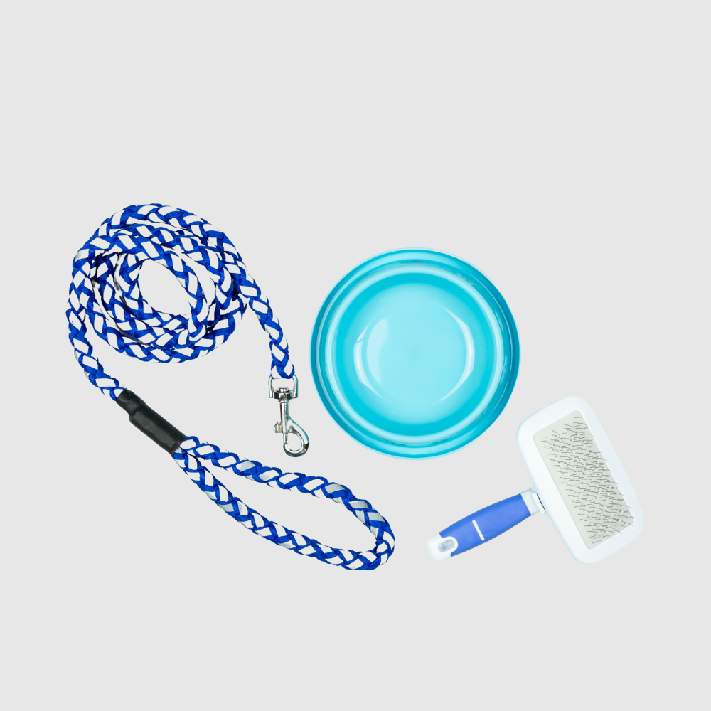 Untitled Design 19