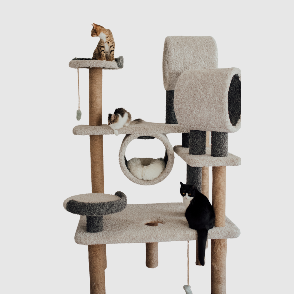 Untitled Design 21