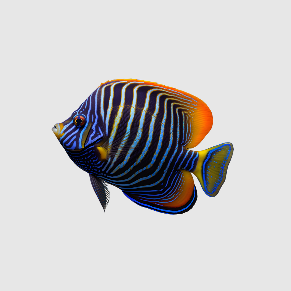 Untitled Design 27