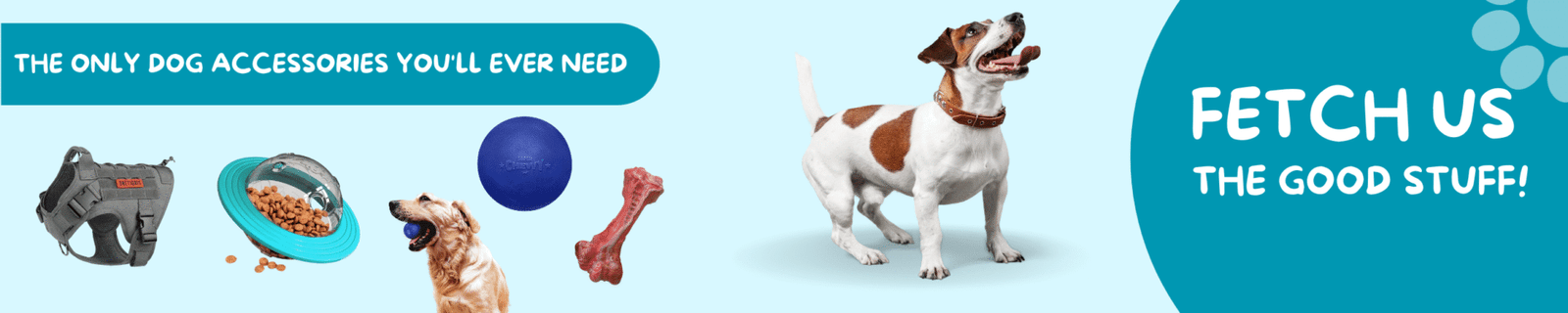 The Only Dog Accessories Youll Ever Need