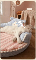 00c824e2 Ca8c 43e4 87e0 965d1c7c089e 790x1299 1