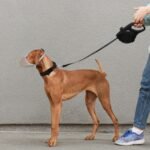 052aeff7 7721 4592 9736 637174696e4f 1600x1600 1