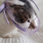 05c708b60aeb43c7a692d2d6a94790ea