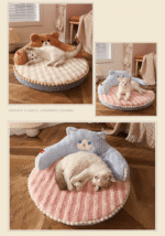 0b0d9f93 C17f 40a0 9d55 Aa1021df21f5 790x1125 1