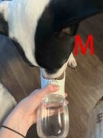 12ee8636 C941 4b58 Bcf7 5fcf93c2ba6e