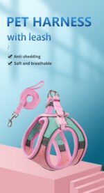 1a509eb5 68e9 413d Bb3a 621d2dc0521d 750x1383 1