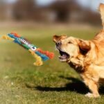 1ea69c9c9a169a7104dcb5c1bff4d559