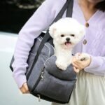 28a83c6b7cbc7a1358d009ee70b2bab4