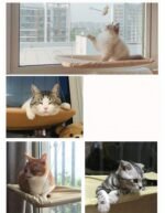 290df32c 2881 47c8 B253 Dc98aa33a02e 750x965 1