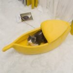 29ebd94f508a65a70566e76621fc277b