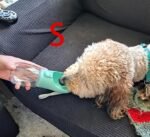 2df80970 C2c5 434b B1e4 Cb3e6c7e9635