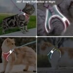 31aea2b5 48d4 4a1b 8797 37f9476d8e54