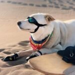 37afb8d5 953b 489b B14f 4b1333751421 1600x1600 1