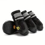 44b7287c 3e79 45bf 8b00 D0a100405193 1600x1600 1