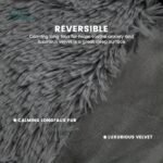 486e8f4f 84cd 4246 8ff8 3a3a6877bebc