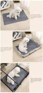 52a0bc34 91ba 4c0a 9ff7 931bd2499ae2 790x1687 1