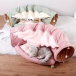 5c44a97a 32b4 4680 9ae2 D9b2b61e046f