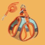 5eb9b5d9 F29d 4dd7 9272 Fe6903403b26 800x800 1