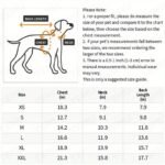 6c86a6c109ed6f151351cb745ee785a61719495693825