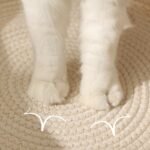 7e6192f10a674bb7a158d0a17008708c