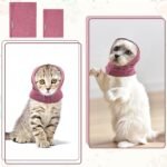 8637cb98d16959ebe3cd8be0dc4d7c9e