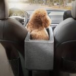 896afc8e1c83161fb30a505fdd3609cb