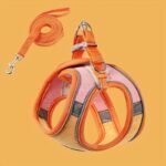 A20cada5 0b4c 49d9 9a12 D1fda000bc26 800x800 1