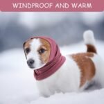 Ade949adfa5694de06efa34c3ead0fe1