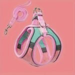 Ae60cdca F3ae 482f 9035 2acacf313af3