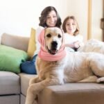 B615fc6e Badb 43b7 9717 35e1cac66173 1500x1500 1