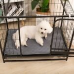 D5a7e659b23d7e7dd841666843a0efbc