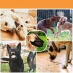 E2b48beea1f7fc904bab1266a471fbef