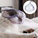 E687aa97dc8354532557f17ee8e39298