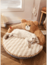 E70a8e73 A23e 4615 A87a B21d8e2a7f13 790x1092 1