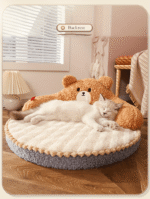 Ed12b566 2c53 4370 A232 22169c468d74 790x1050 1