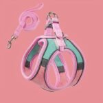 Fa54ffbc 06dc 4636 9272 24f46c975264 800x800 1