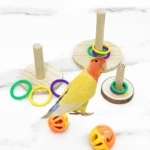 S0cac6f42090d47e2b1aad4ccb630fd47c