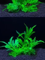 S3ec70af9652c404d8ad698606bba4935v