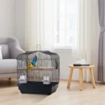 S401281a22ce84666b014d9a9788c8761q