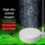 S51990b76f9d148f894a69461ca1661bcd