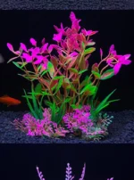 S7db98bf1747a4554bac2d63d7a6bbed3w