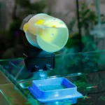 S8f5686cc184c487a8344d08c1958e1a3d