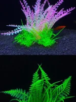 Safd6ccaa46fa4bfa8716958c121a112fy