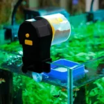 Sc09b93eaa7a644e6a936f9af2d300746u