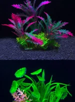 Se3961f0a43d34e53b13e53f8bf5dd43fg