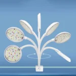 Sf635fb7202f04ebabe780de988ffe34cz