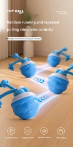 S085cb66ec2c54ee08633ed91f56beeaf6