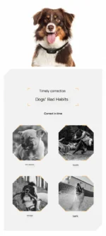 S0d77c254f01b416993ec3897d64cb0d9s 1