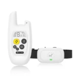 S16cf61b5389a4a96917860d14e973405t 1