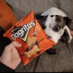 S37742f35768d420cae9d4abe1d5c740e9